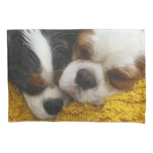 Unbekümmerter Königcharles Spaniel-Kissenbezug Kissenbezug