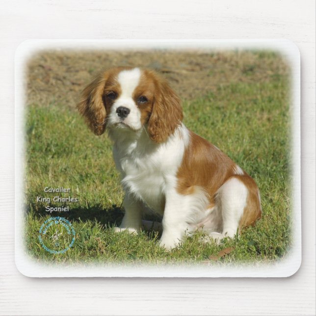 Unbekümmerter Königcharles Spaniel Mousepad (Vorne)
