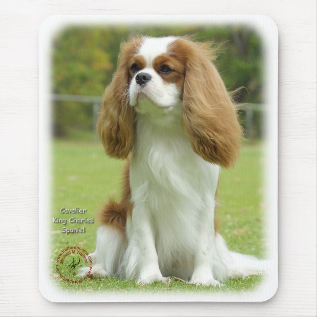 Unbekümmerter Königcharles Spaniel Mousepad (Vorne)