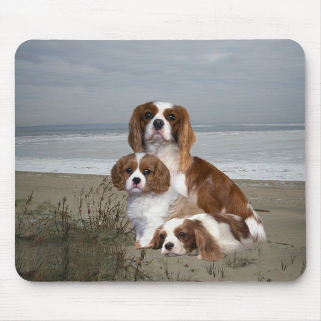 Unbekümmerter Königcharles Spaniel Mousepad (Vorne)