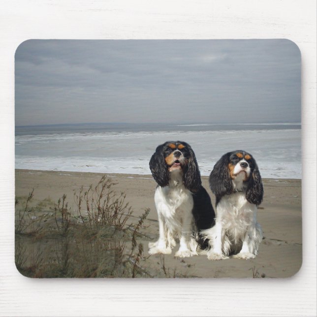 Unbekümmerter Königcharles Spaniel Mousepad (Vorne)