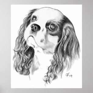 Unbekümmerter Königcharles Spaniel Poster