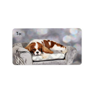 Unbekümmerter Königcharles Spaniel - Remington Adressaufkleber