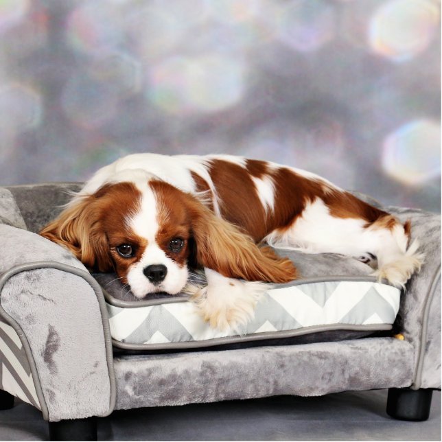 Unbekümmerter Königcharles Spaniel - Remington Freistehende Fotoskulptur (Vorne)