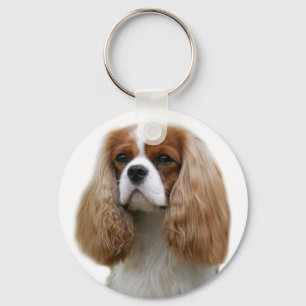 Unbekümmerter Königcharles Spaniel Schlüsselanhänger