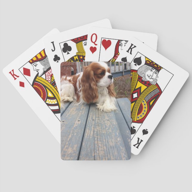 Unbekümmerter Königcharles Spaniel Spielkarten (Rückseite)