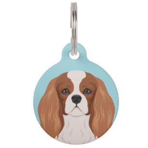 Unbekümmerter Königcharles Spaniel Tiernamensmarke