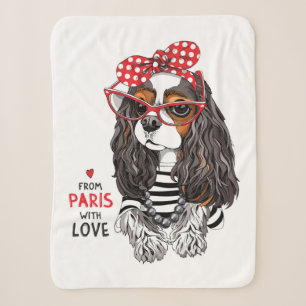 Unbekümmerter Königcharles Spaniel von Paris mit Sherpadecke