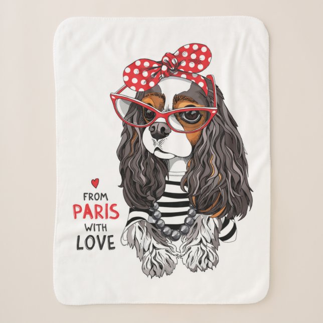 Unbekümmerter Königcharles Spaniel von Paris mit Sherpadecke (Vorderseite)