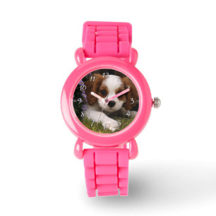 Unbekümmerter Königcharles Spaniel-Welpe hinter Armbanduhr