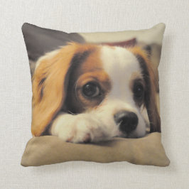 Unbekümmerter Königcharles Spaniel-Wurf Pollow Kissen