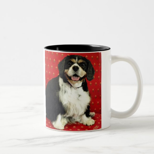 UNBEKÜMMERTER KÖNIGcharles SPANIEL Zweifarbige Tasse (Rechts)