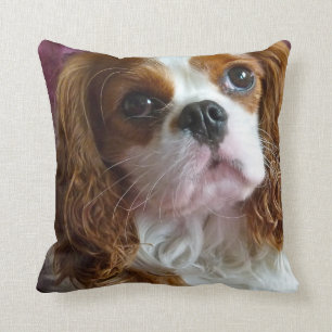 Unbekümmertes Königcharles Spaniel-Kissenkissen Kissen