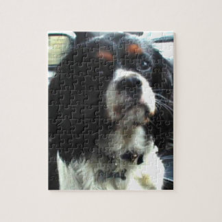 Unbekümmertes Königcharles Spaniel-Puzzlespiel