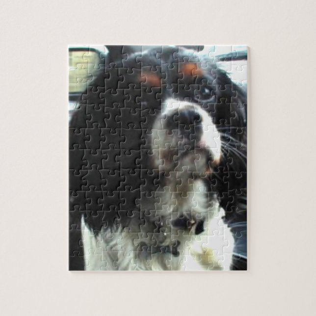 Unbekümmertes Königcharles Spaniel-Puzzlespiel (Vertikal)