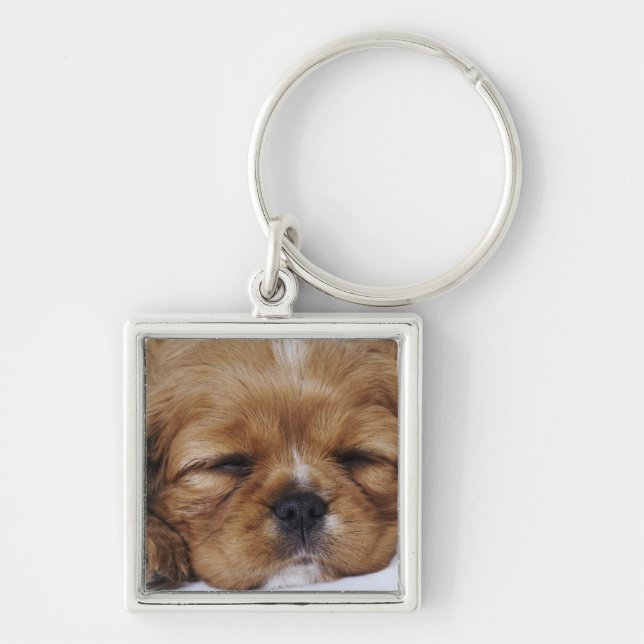 Unbekümmertes Königcharles Spaniel-Welpenschlafen Schlüsselanhänger (Vorne)