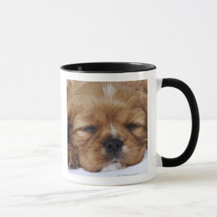 Unbekümmertes Königcharles Spaniel-Welpenschlafen Tasse