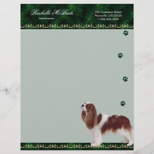 Unbekümmertes Pawprint tierärztliches Briefbogen (Vorderseite)