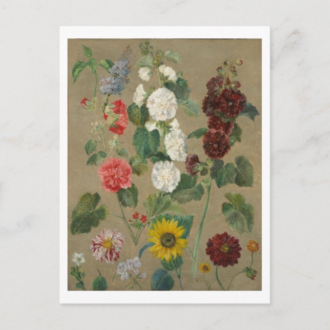 Unbenannt (Blume) (Öl an Bord) Postkarte (Vorderseite)