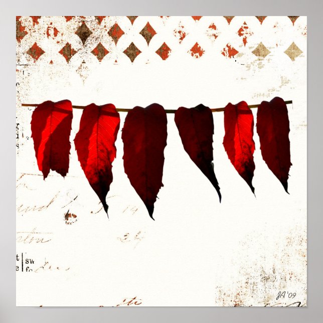 unbenannt poster (Vorne)