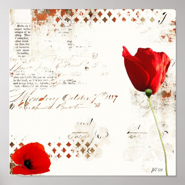 unbenannt poster (Vorne)