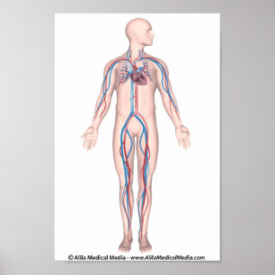 Unbeschriftetes Plakat des menschlichen