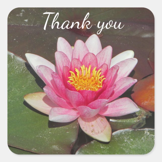 Unbezahlbarer Dank Ihnen Hellrosa Water Lily Foto Quadratischer Aufkleber (Vorderseite)