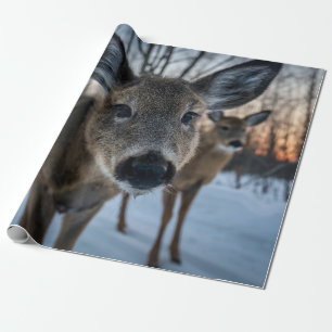 UNBEZAHLBARER SONNENUNTERGANG MIT WILDLEBEN GESCHENKPAPIER