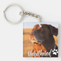 Unbothered Golden Hour Dog – Premium Minimalist 