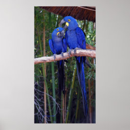 Und dann sagte ich poster