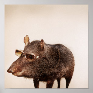 Und du bist es? poster