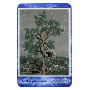 Und eine Porcupine in einem Kiefernbaum Magnet