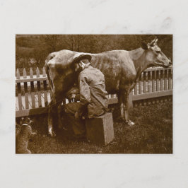 Und Nicodemus die Katze wurde von der Wayside Gefü Postkarte