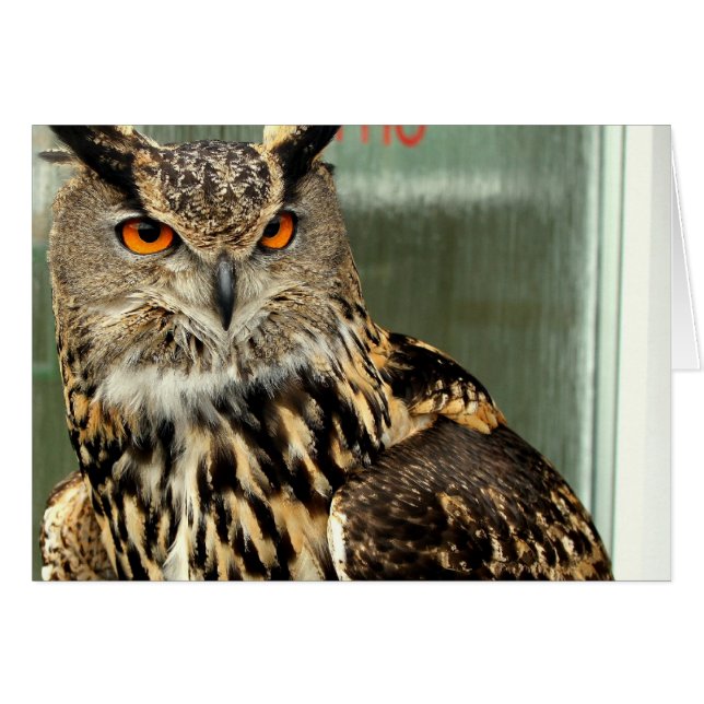 undefiniert (Vorderseite (Horizontal))