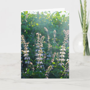 undefiniert feiertagskarte