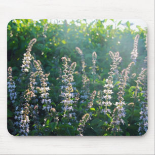 undefiniert mousepad