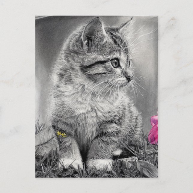 undefiniert postkarte (Vorderseite)