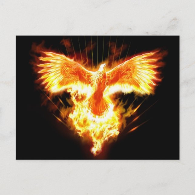 undefiniert postkarte (Vorderseite)