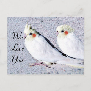 undefiniert postkarte