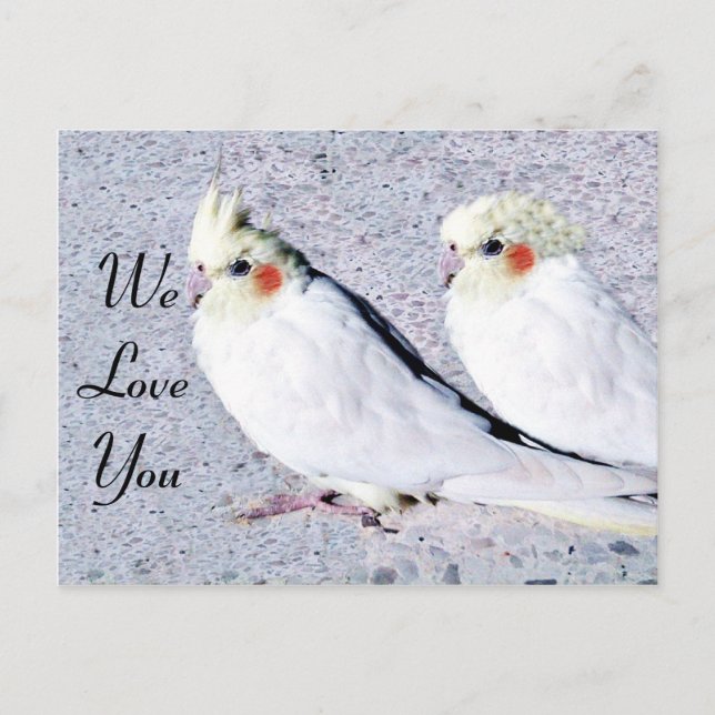 undefiniert postkarte (Vorderseite)