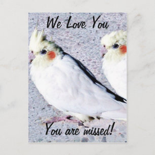 undefiniert postkarte