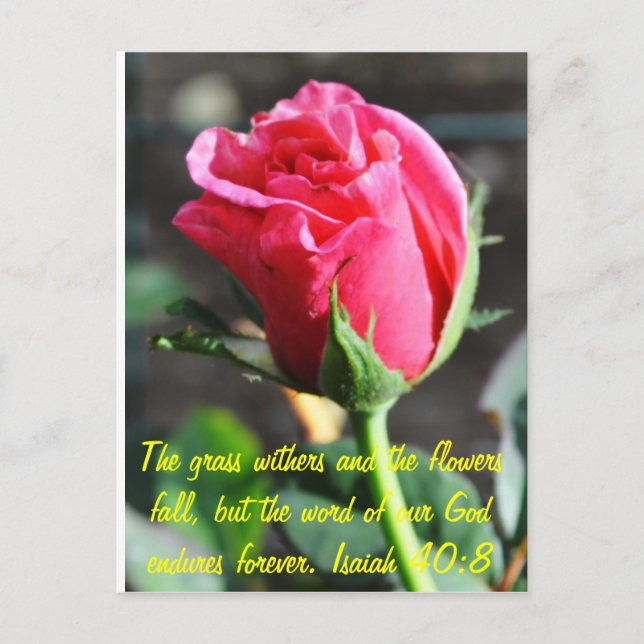 undefiniert postkarte (Vorderseite)