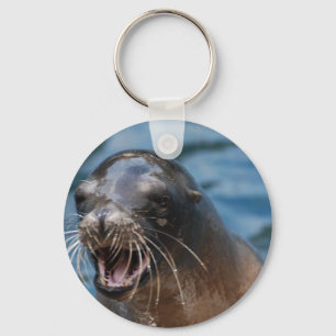 undefiniert schlüsselanhänger