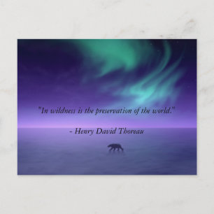 Under magic skies postkarte