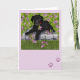 Under the Lilacs Karte