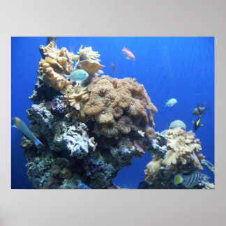 Under the Sea Poster