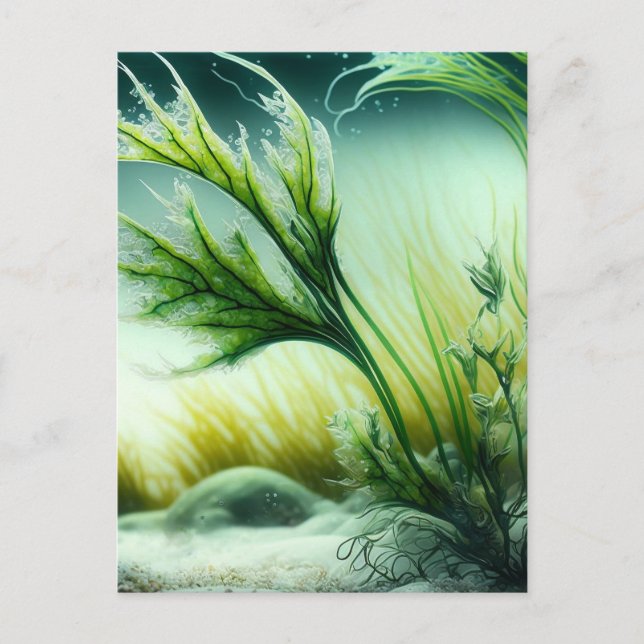 Underwater Majesty Postkarte (Vorderseite)