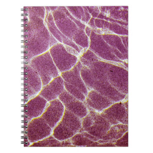 Underwater photography of sand notizblock