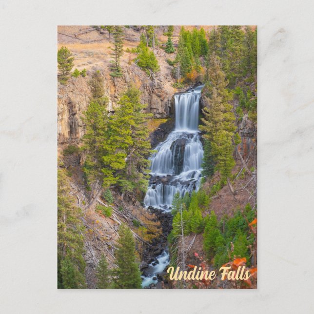 Undine Falls Lava Creek Yellowstone Nationalpark Postkarte (Vorderseite)