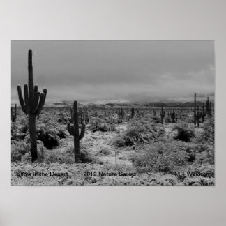 Une 1 impression de neige dans le désert Nature Se